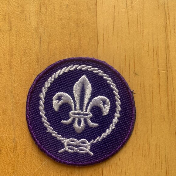 SCOUTS - NEW Boy Scouts Of America World Crest Insignia Patch, BSA, Cub Scouts - Picture 2 of 4